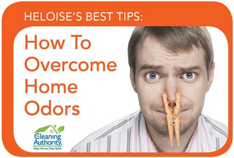 How To Overcome Home Odors