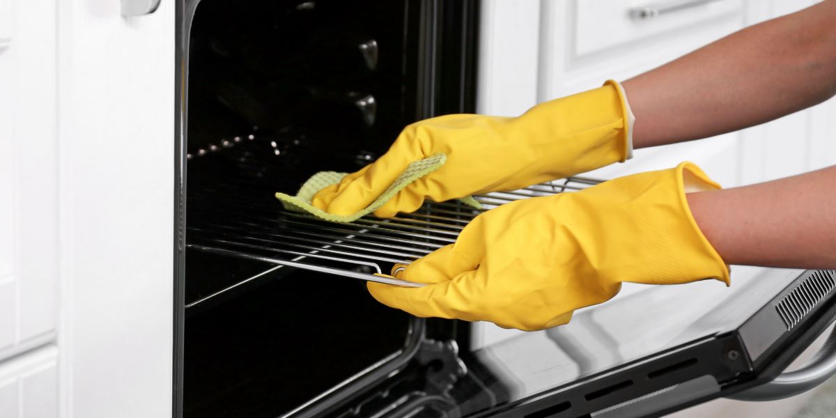Professional Oven Cleaning Services Appliance Cleaning The Cleaning