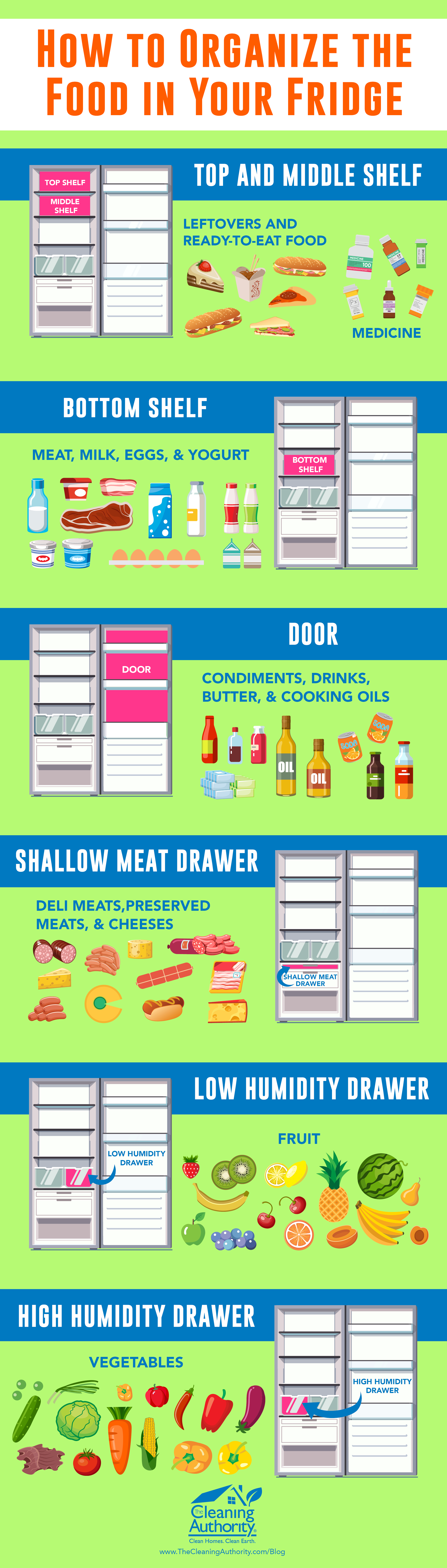 Refrigerator Organization Infographic