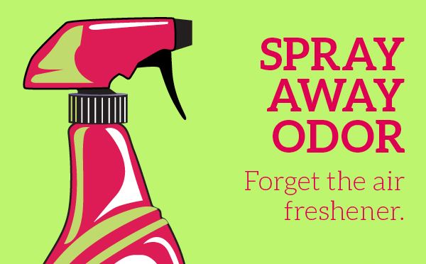 Infographic: Spray Away Odor