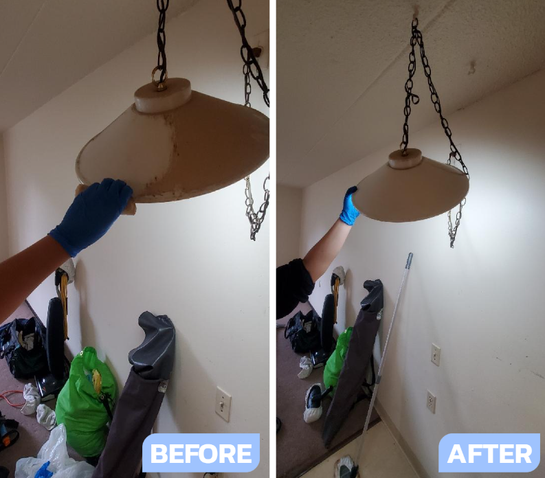 Before & After of Lamp Dusting